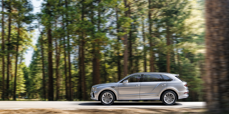 Bentley Marbella Bentley Bentayga Extended Wheelbase SUV in Moonbeam paint driving dynamically on a forest road