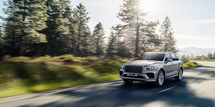 Bentley Marbella Bentley Bentayga SUV front three quarter in Moonbeam silver paint driving dynamically along a tree-lined road